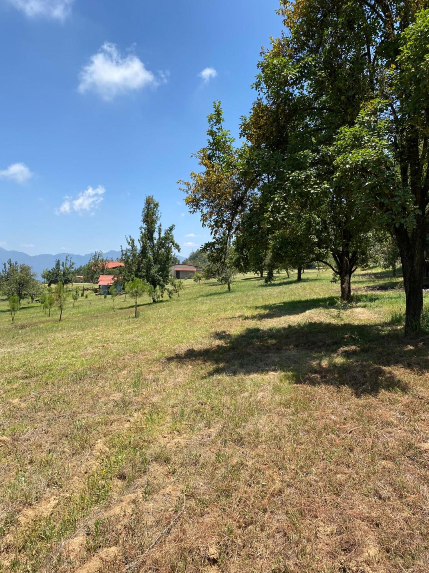 Cabanas Huerta La Mision, Zacatlán Екстериор снимка