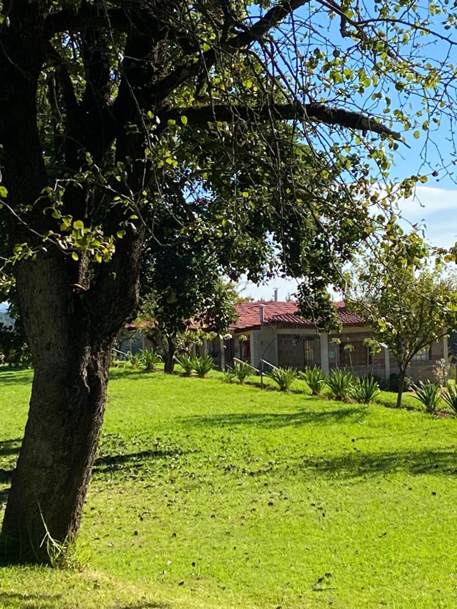 Cabanas Huerta La Mision, Zacatlán Екстериор снимка